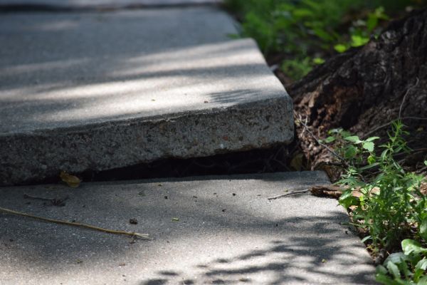 Cost of Sidewalk Leveling in Palm Bay